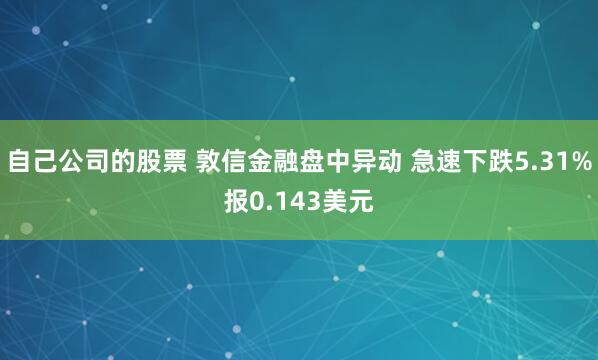 自己公司的股票 敦信金融盘中异动 急速下跌5.31%报0.143美元