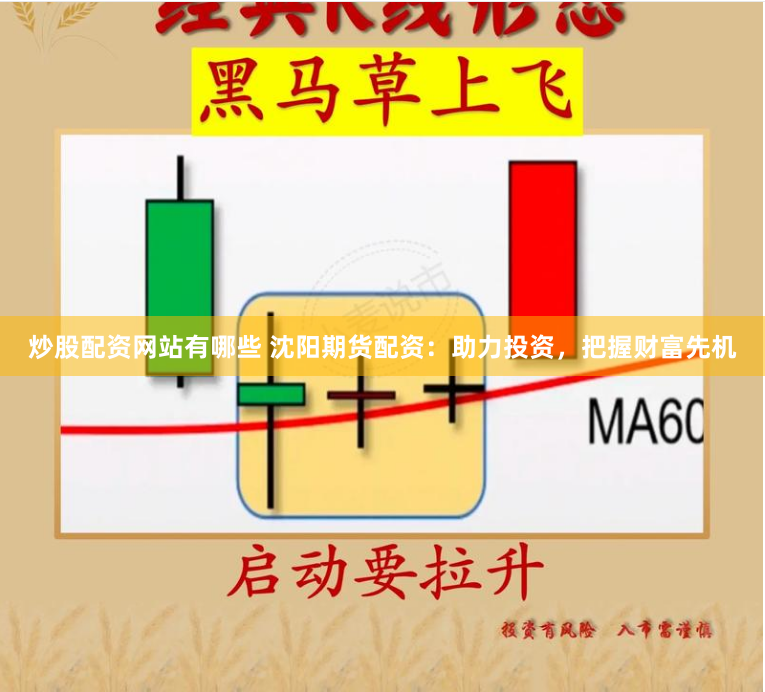 炒股配资网站有哪些 沈阳期货配资：助力投资，把握财富先机